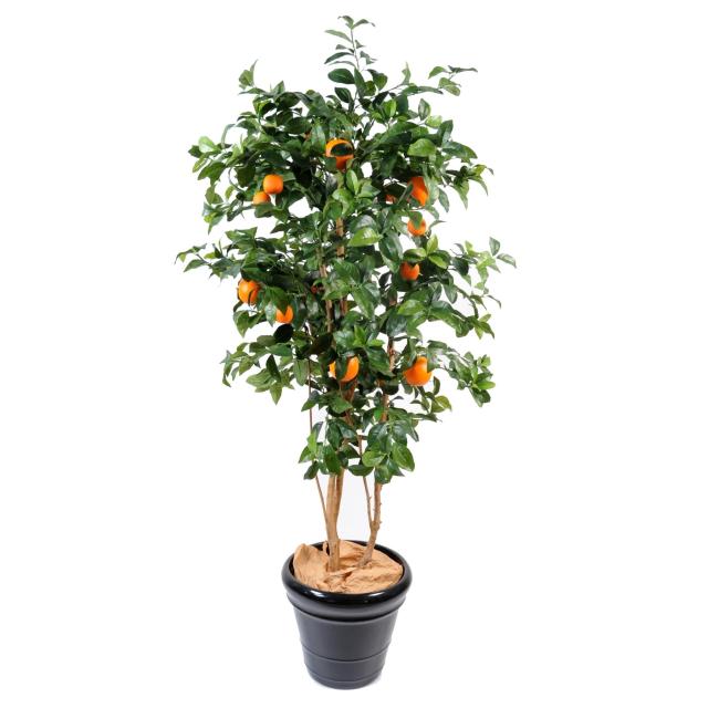 Oranger Artificiel NEW