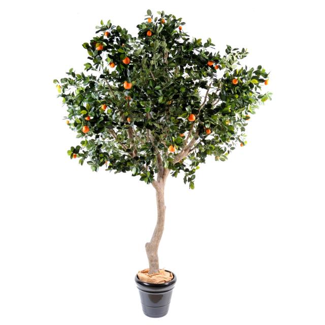 Oranger Artificiel Arbre Large - Oranger Artificiel Arbre Large
